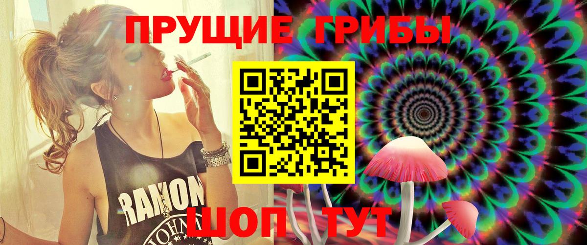 Псилоцибиновые грибы MAGIC MUSHROOMS  Вход с VPN  Павлово 