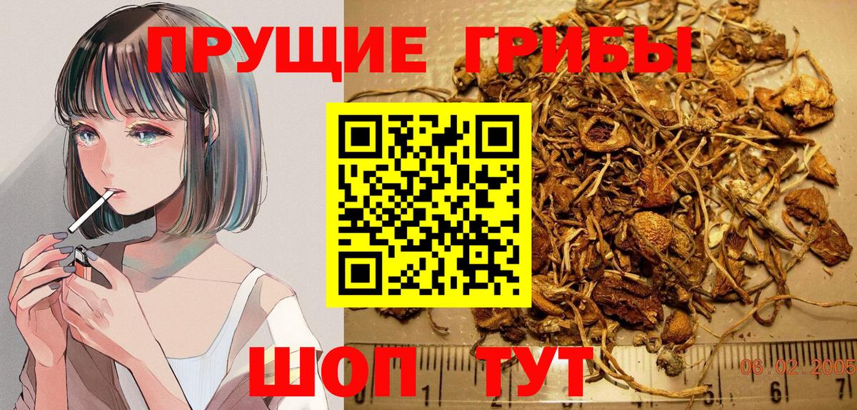 Псилоцибиновые грибы прущие грибы Павлово